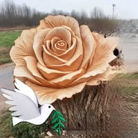 Hà Trần thị ngọc