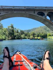 Laprisha Carrington Lech