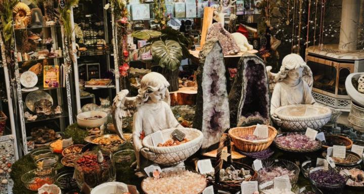 Moonlit Moss Wellness