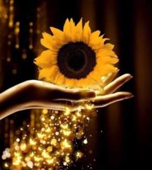 Olga Rodríguez Rodríguez