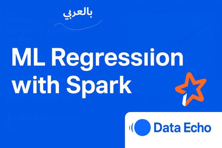 Data Echo