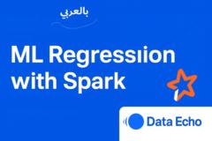 Data Echo