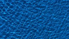 Leonardo agustin Merodio