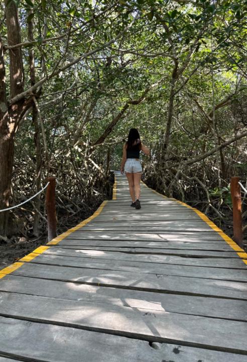 Estefania Alvarez lopez