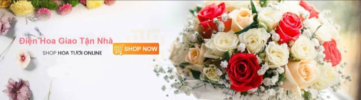 Shop hoa tuoi Quảng Ninhv