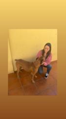 Elena Feo