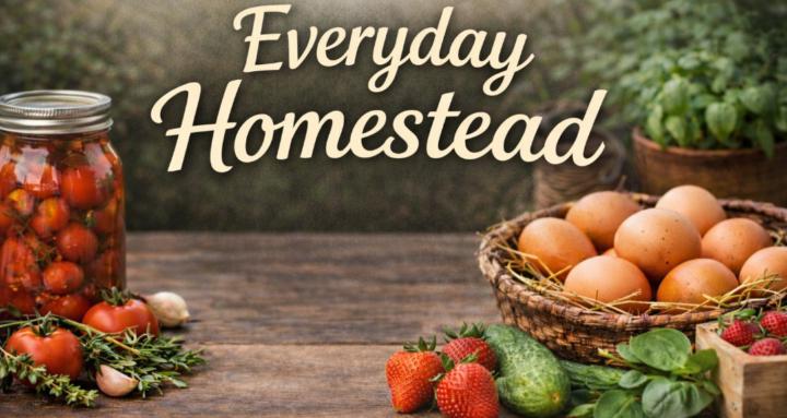 Everyday Homestead 