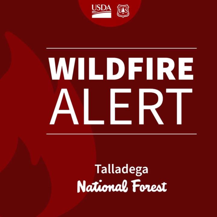 🔥 Prescribed Burns & Vulnerable Communities: What We Need to Talk About 🔥