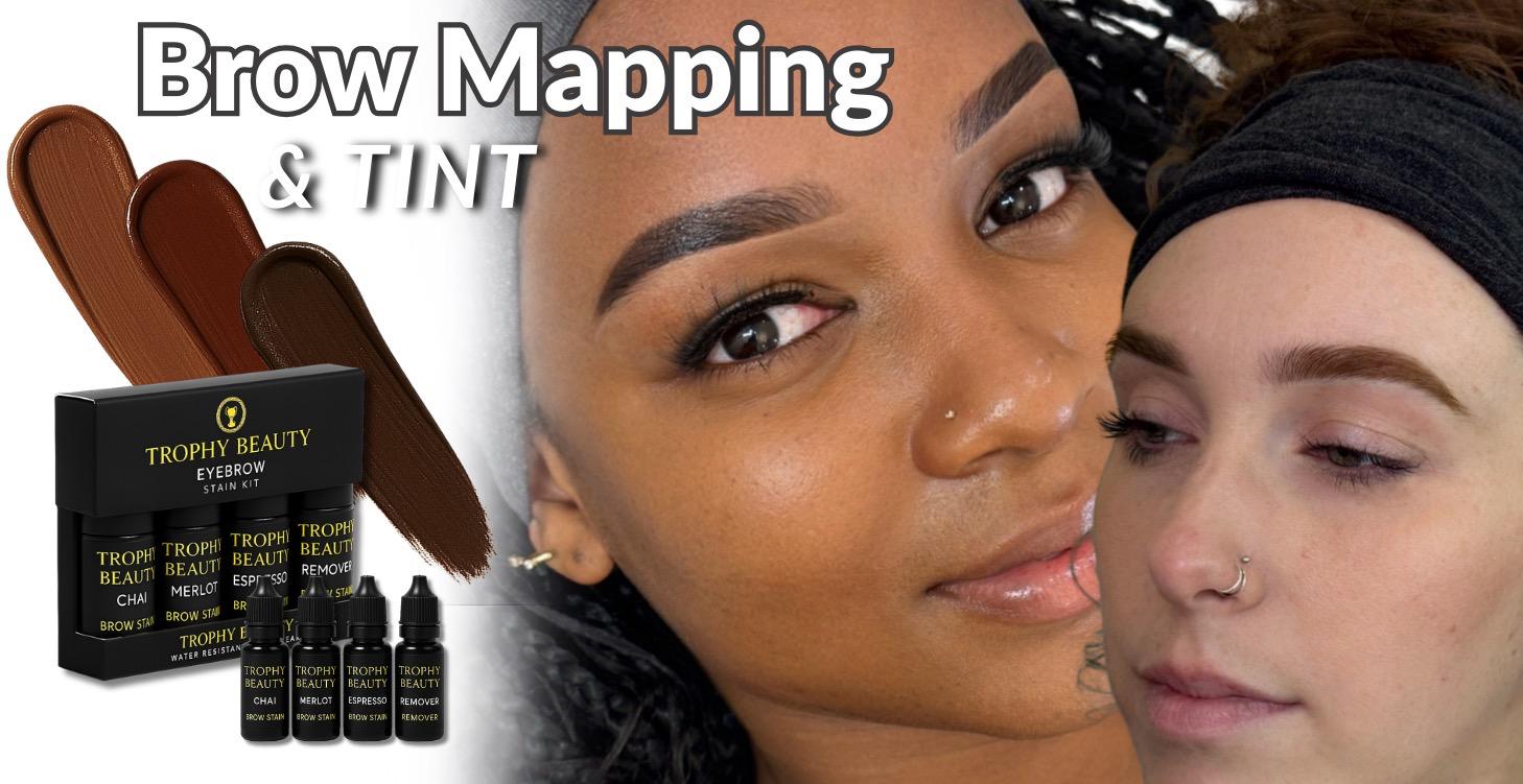 Brow Mapping & Tint