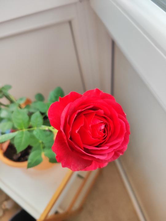 Natalia Natalia Moreno