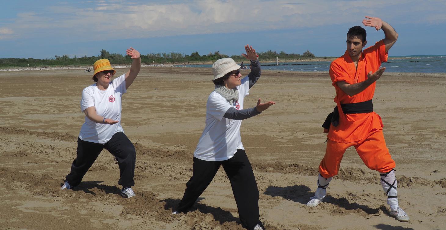 Taiji Quan and Qi Gong Level1