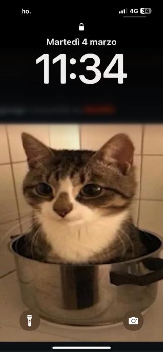 D D