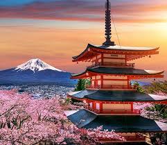 Nagano Tonic Review - A Game Changer!