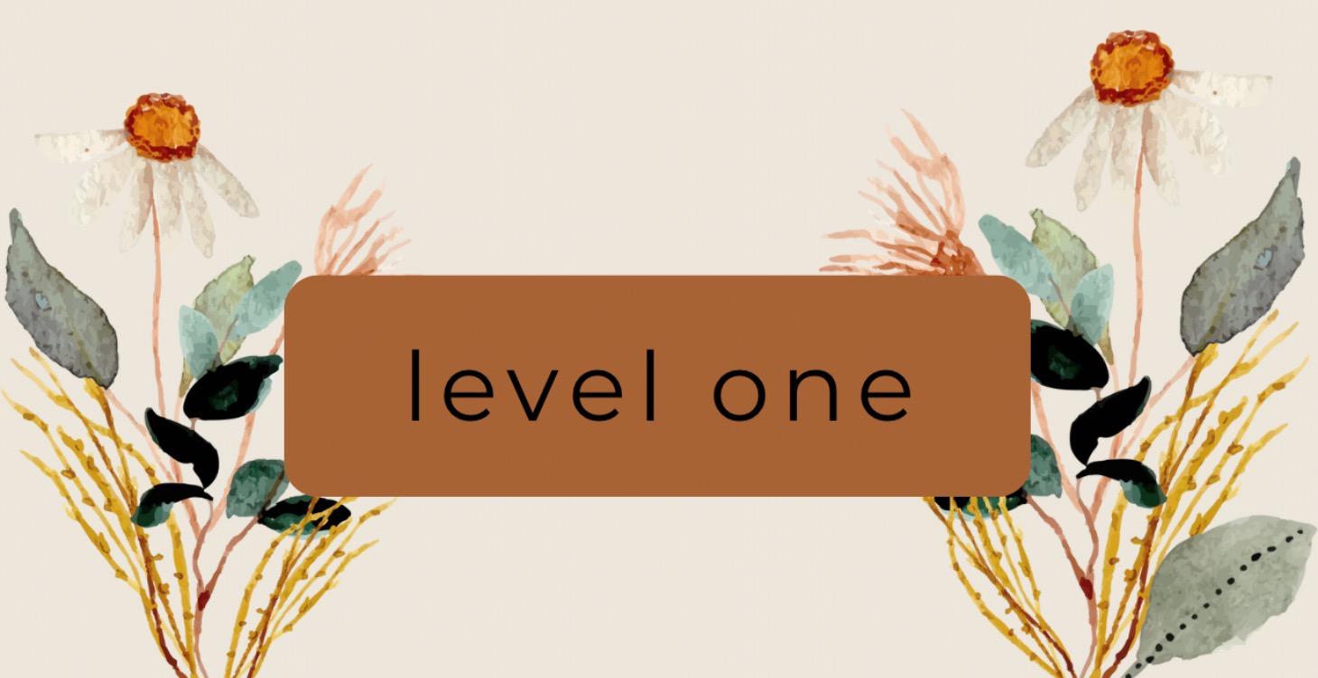 Level One
