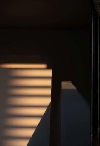 Amandine Troyon