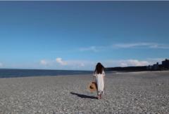 Jiamin H