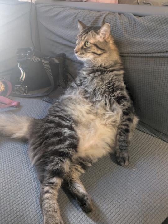 Happy Thanksgiving & Holiday Raffle 📢 