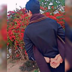 Ashir Naveed