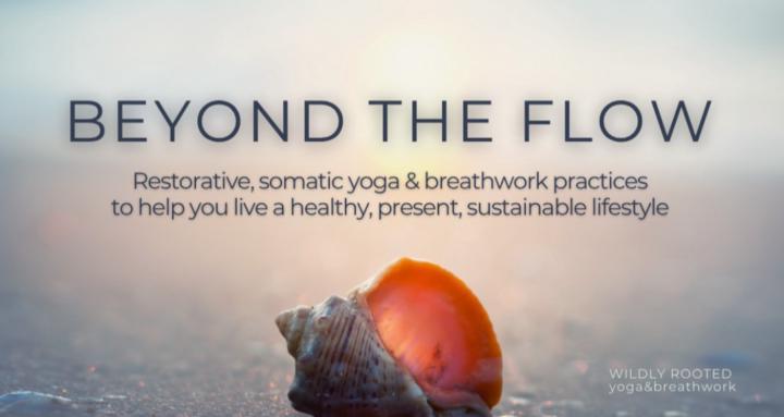 Beyond the flow