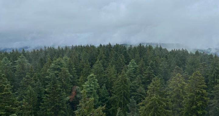 Kratos University (Longevity)