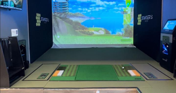 The Indoor Golf Group