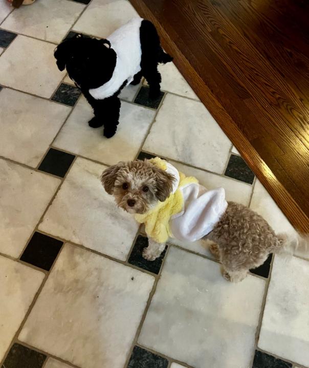 Francoise De grandpre