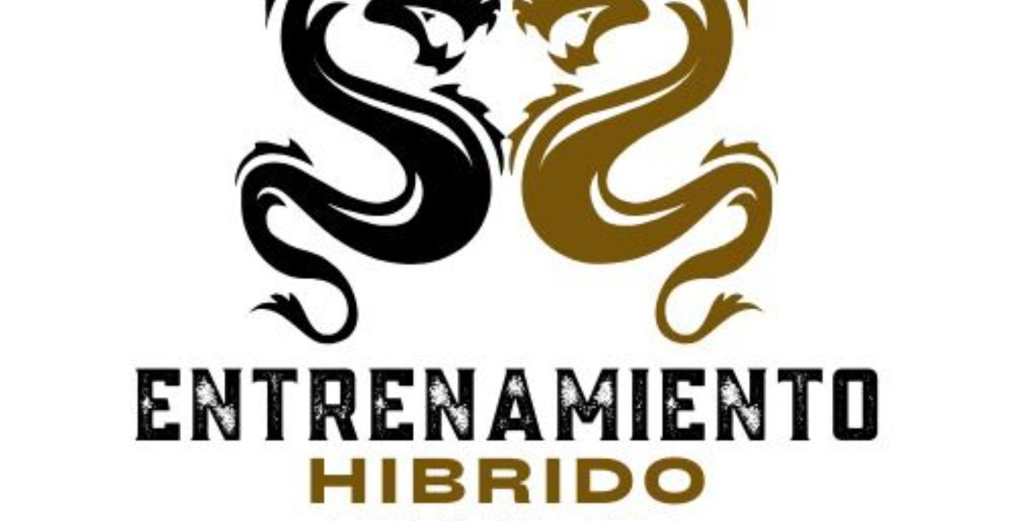 Clases Grabadas: Entrenamiento Híbrido