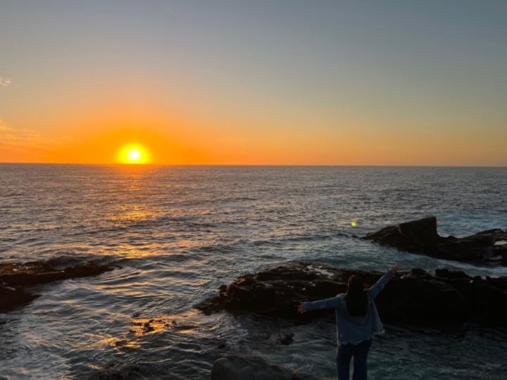 María Jesús Larrondo