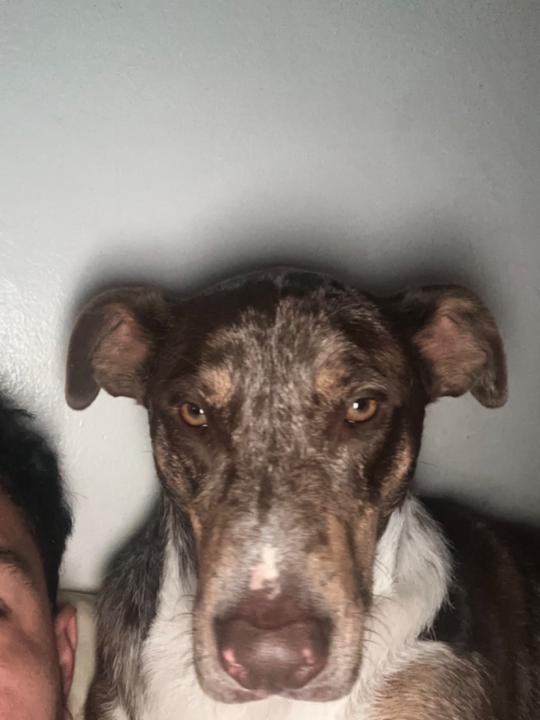 Henry Argueta