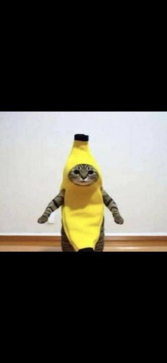 Nicolas De la Cruz Velasquez