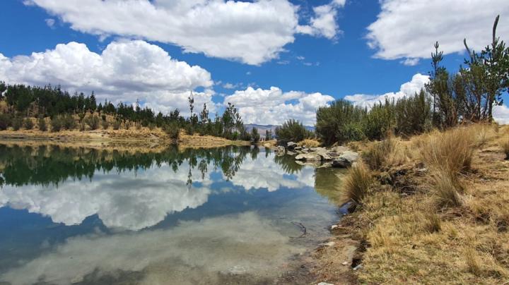 Fanny Abanto Chávez