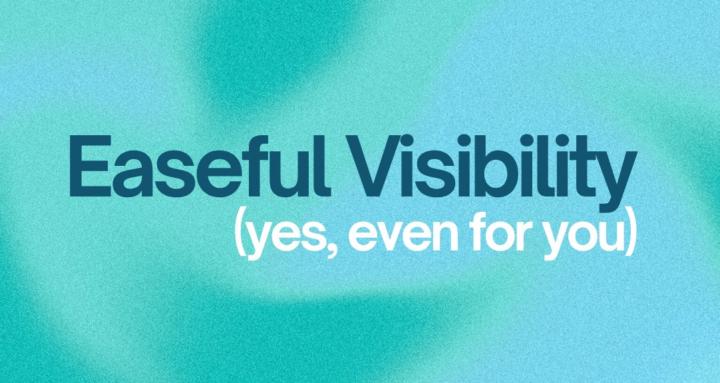 Easeful Visibility Collective