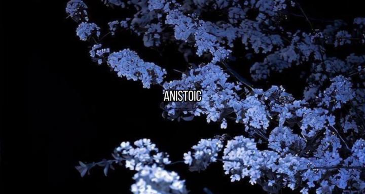 AniStoic Studios