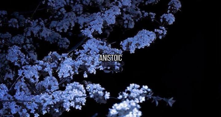 AniStoic Studios