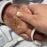 Priscilla Sena-Cavalli