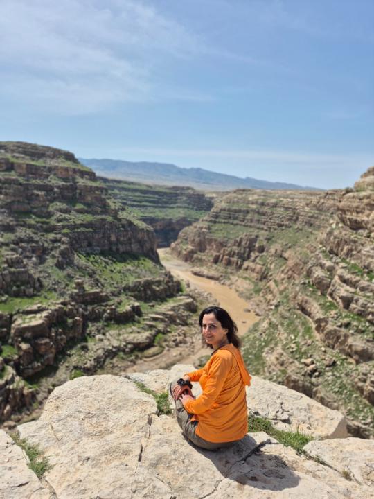 Nasim Sadi