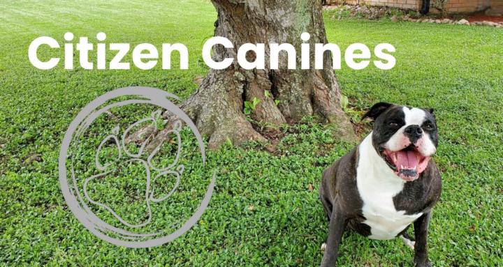 Citizen Canines