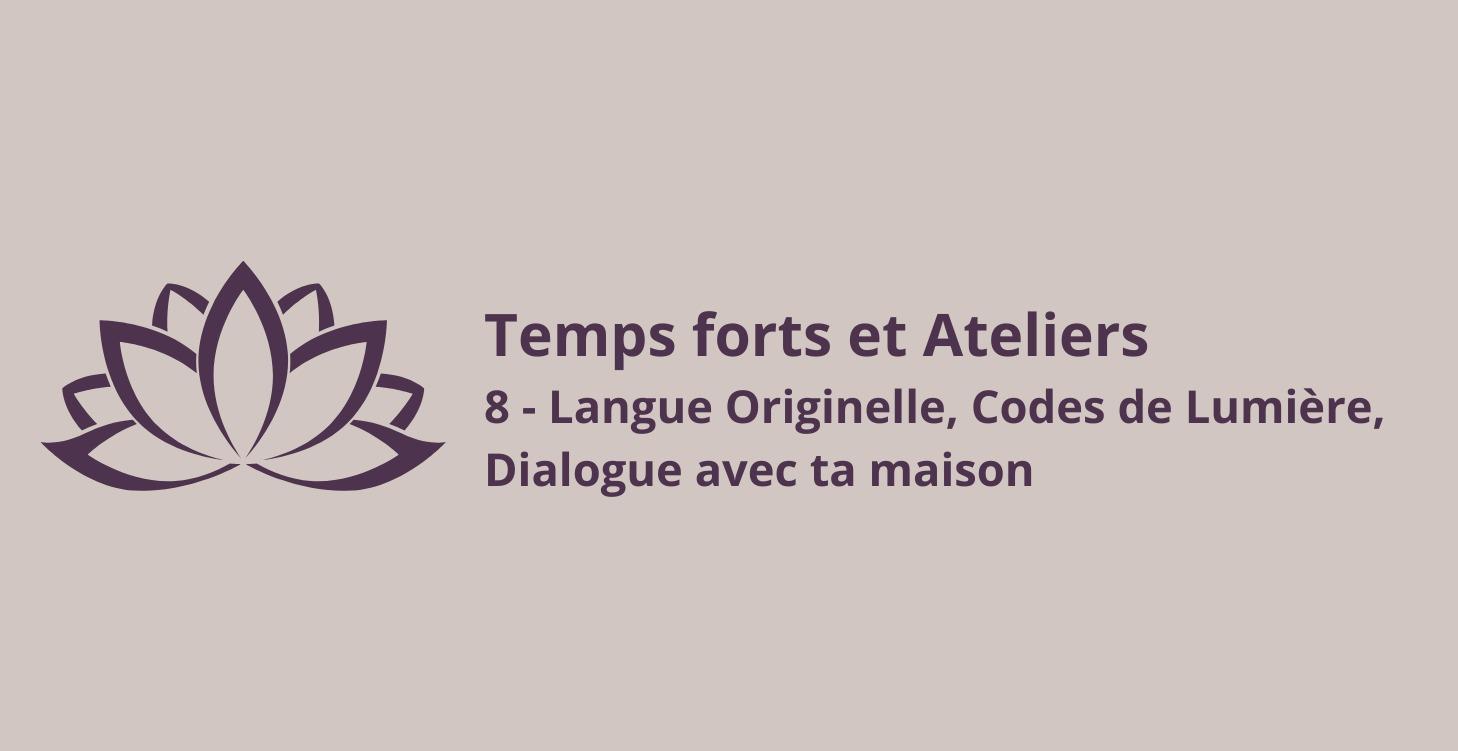 8 - Langue Originelle, Codes de Lumière, Dialogue