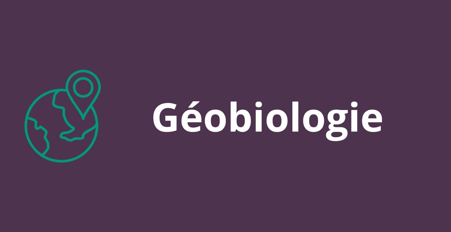 1 Décode l’Équilibre de ton Habitat (Géobiologie)