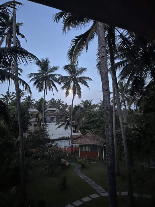 🌸 Des nouvelles d’Inde 🌸