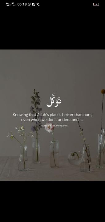 Ilm Mohamed
