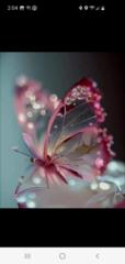 Gayle Freeman