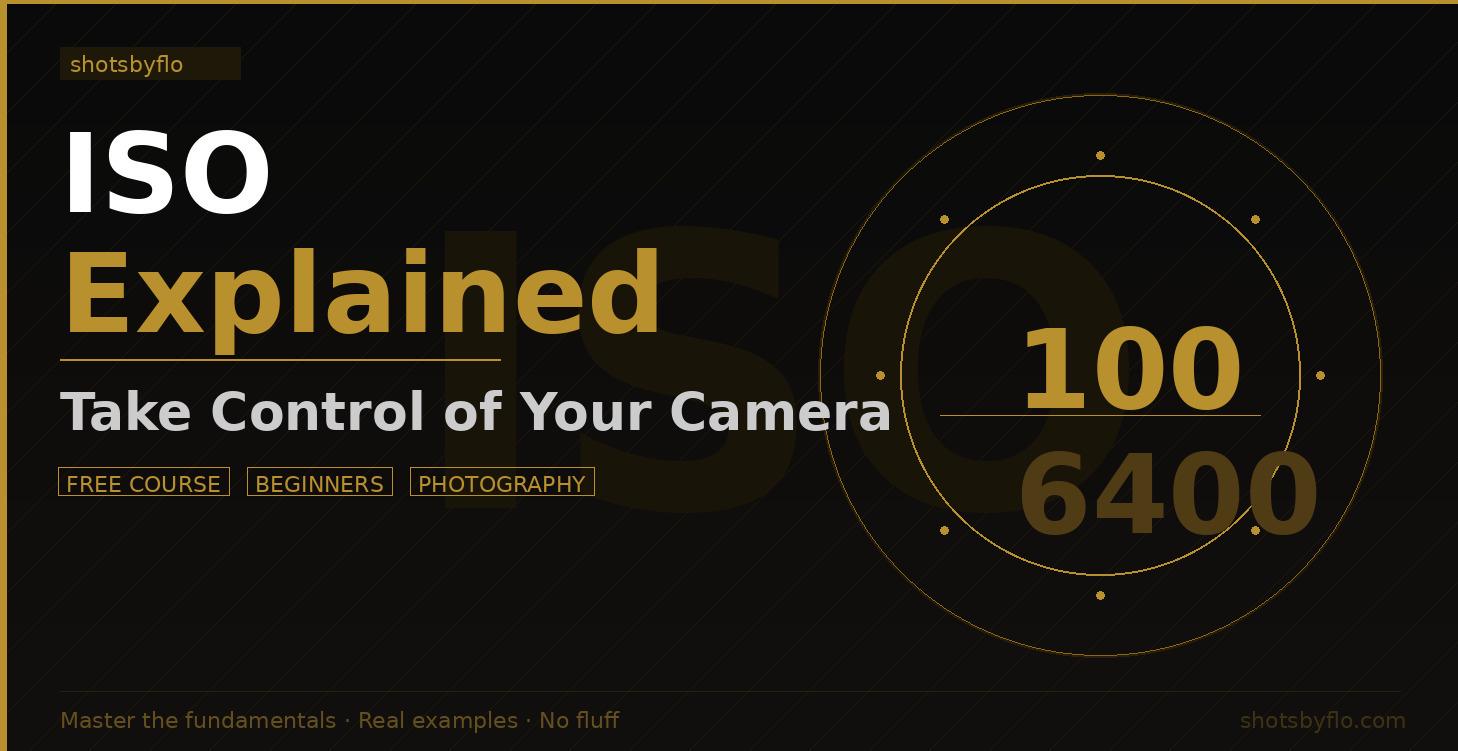 ISO Explained – Take Control of Your Camera