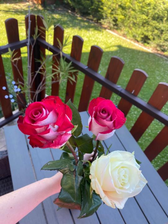 Zsanett Rottenberger