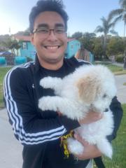 Bryan Gomez