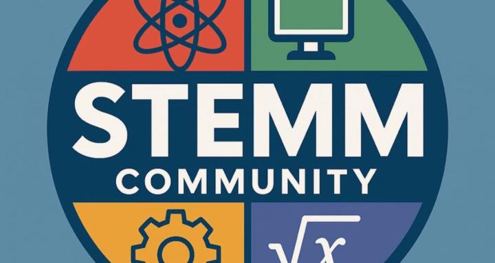 STEAMM Mentors