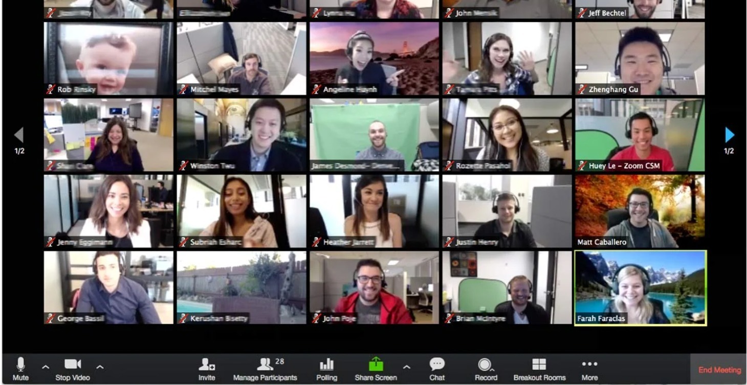 Live Calls and Webinars