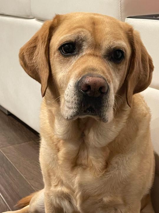 Saswatha Chandrasekaran