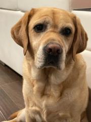 Saswatha Chandrasekaran