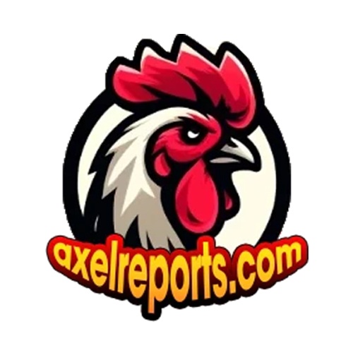 Đá gà Trực tiếp